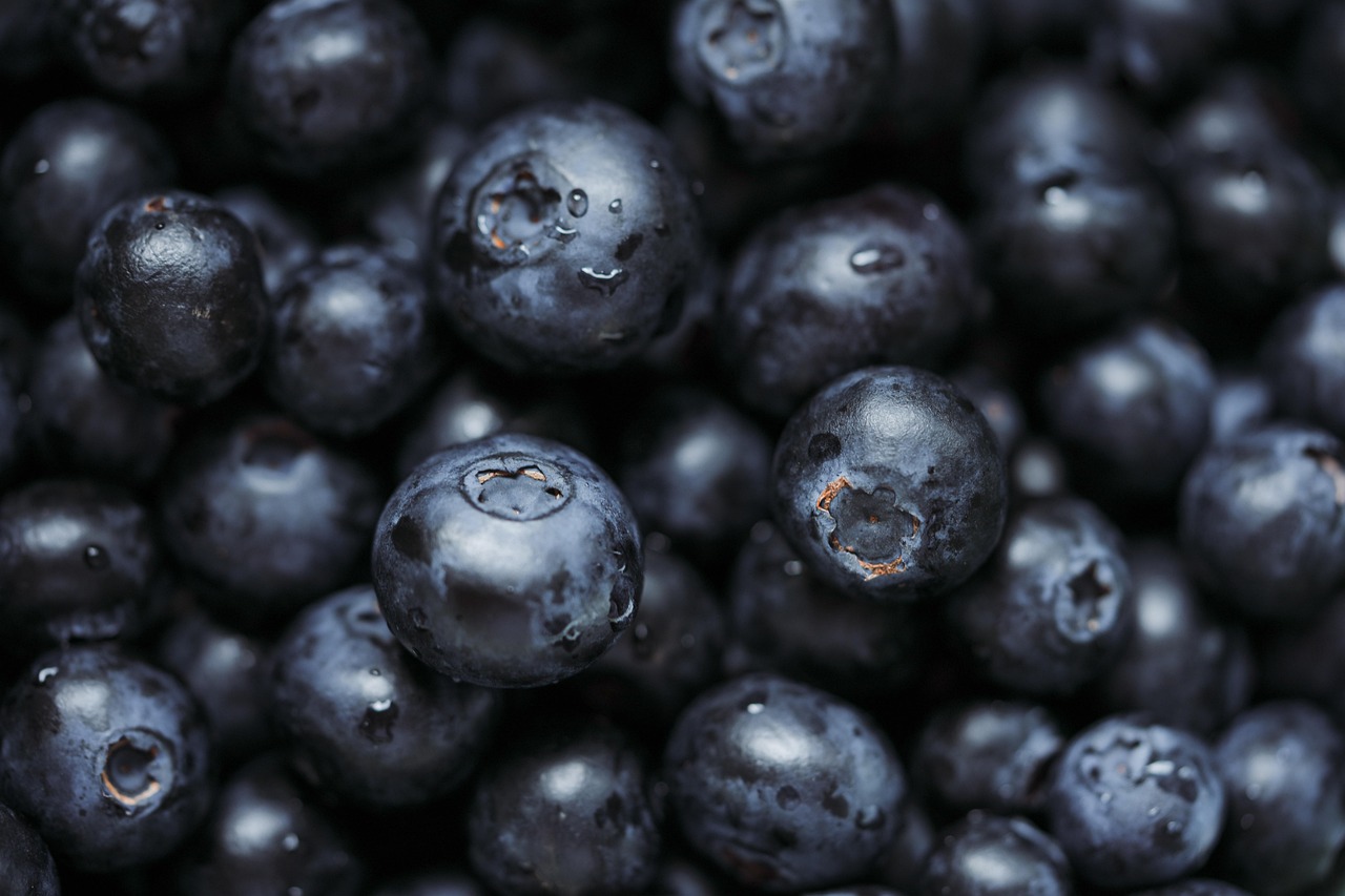 recovery superfoods